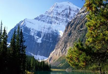 爱游戏体育摔跤预选赛焦点战：漠南迅豹队绝杀北城巨龙队，新星闪耀。本土核心状态回升的简单介绍